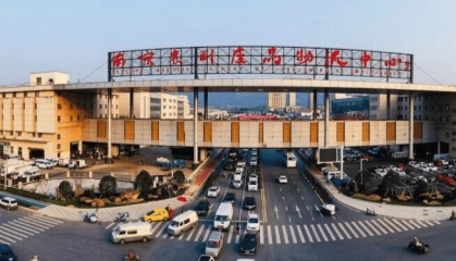 江苏多地市场：大白菜未检出甲醛，全面禁止河北康保县大白菜入场