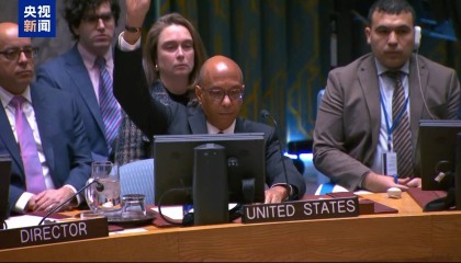 “14票赞成 1票反对” 多国代表对加沙停火决议草案遭美否决十分失望