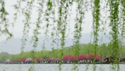 确认了！今天起，杭州持续一周甚至更久......