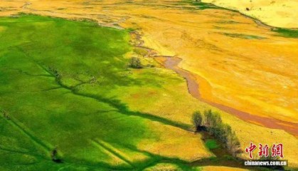 通讯：内蒙古鄂尔多斯借黄河水滋养万千景