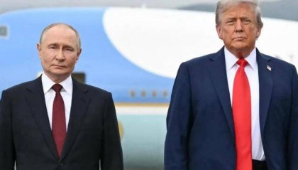 普京拒绝后，特朗普叫停普特会！12国倒戈，泽连斯基决定停火？