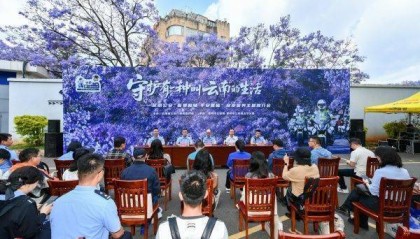 昆明警方：今年蓝花楹开放以来 教场路核心赏花区刑事警情零接报
