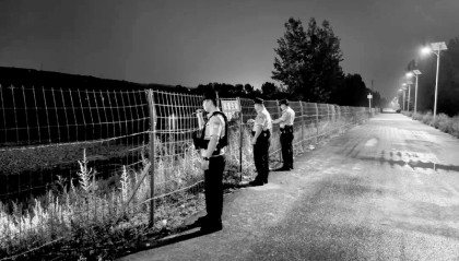 烈日下的忠诚守护