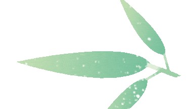 西安特价机票怎么买？在哪买？查询/购买入口和流程→