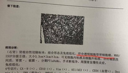 爱康国宾多地分支机构吊注，仅剩武汉分公司存续