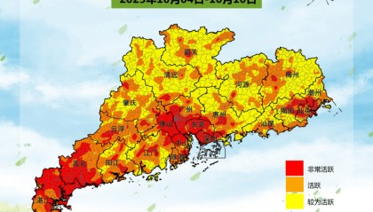 广东一周新增3181例，深圳81例！