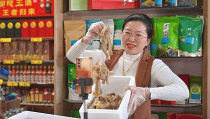 数智同行 逐梦向“网”的生活