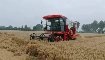 陕西岐山益店镇用好“123”工作法 高效助力三夏丰收