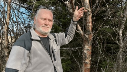 “无蚊国”失守：冰岛境内首次发现蚊子