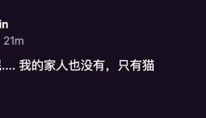 Catizen (CATI) 猫币上线，几家欢喜几家愁，还会有后续机会吗？