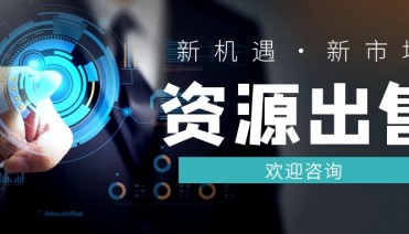 互联网资源“中国央行数字人民币”火爆出售!