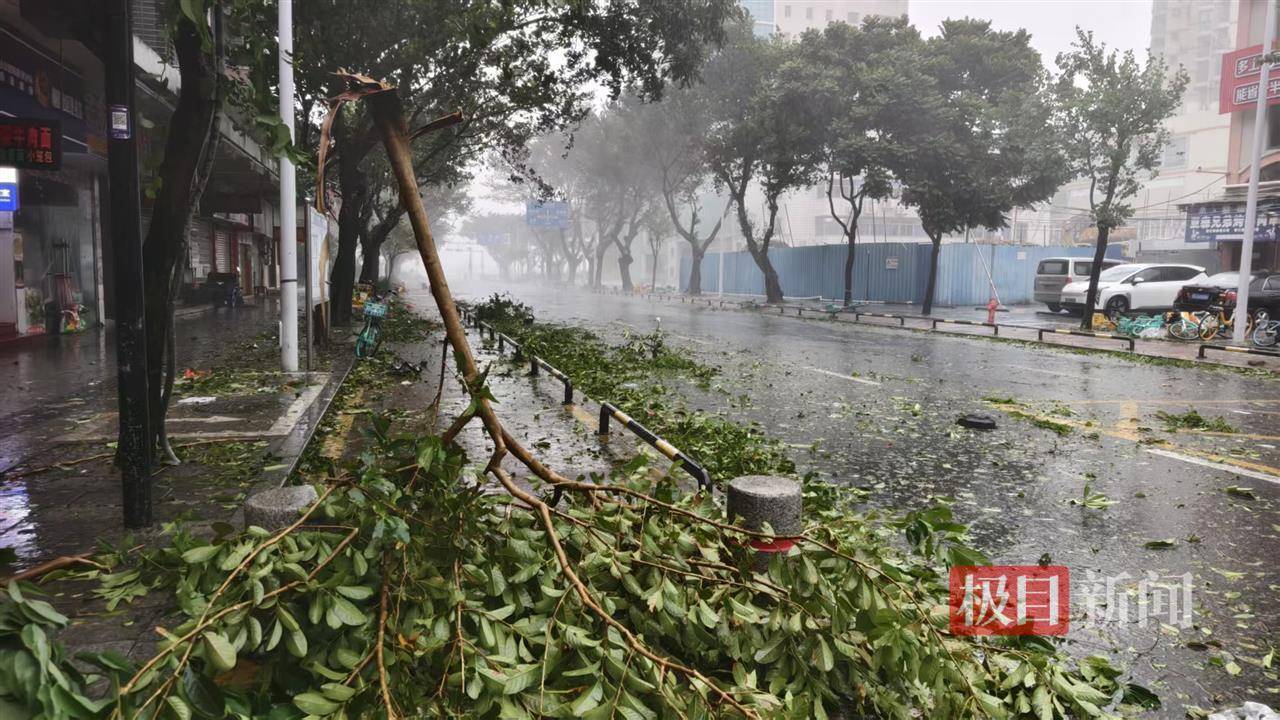 台风桦加沙袭击珠海:记者眼镜被大风吹跑,街边树枝断落,单车成排倒地