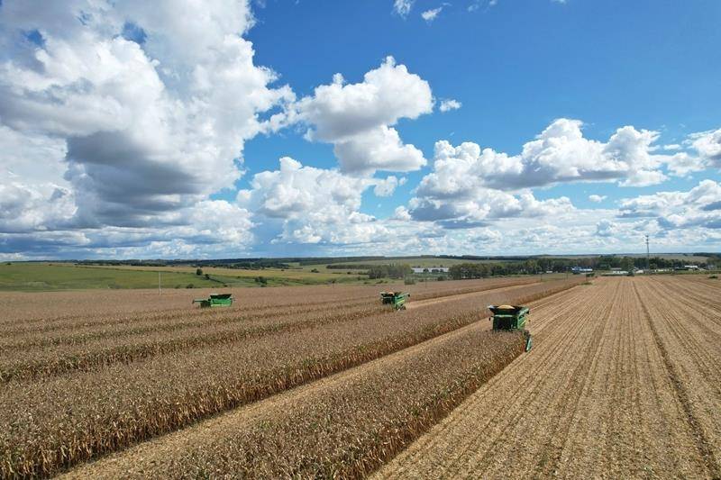 时政微观察丨丰收时节感悟总书记的“三农”情怀