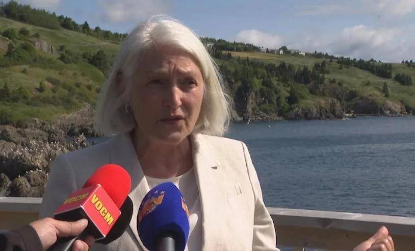 宁愿全部安乐死,也不给中国?加拿大养不起30头白鲸,中国愿接手,然而...