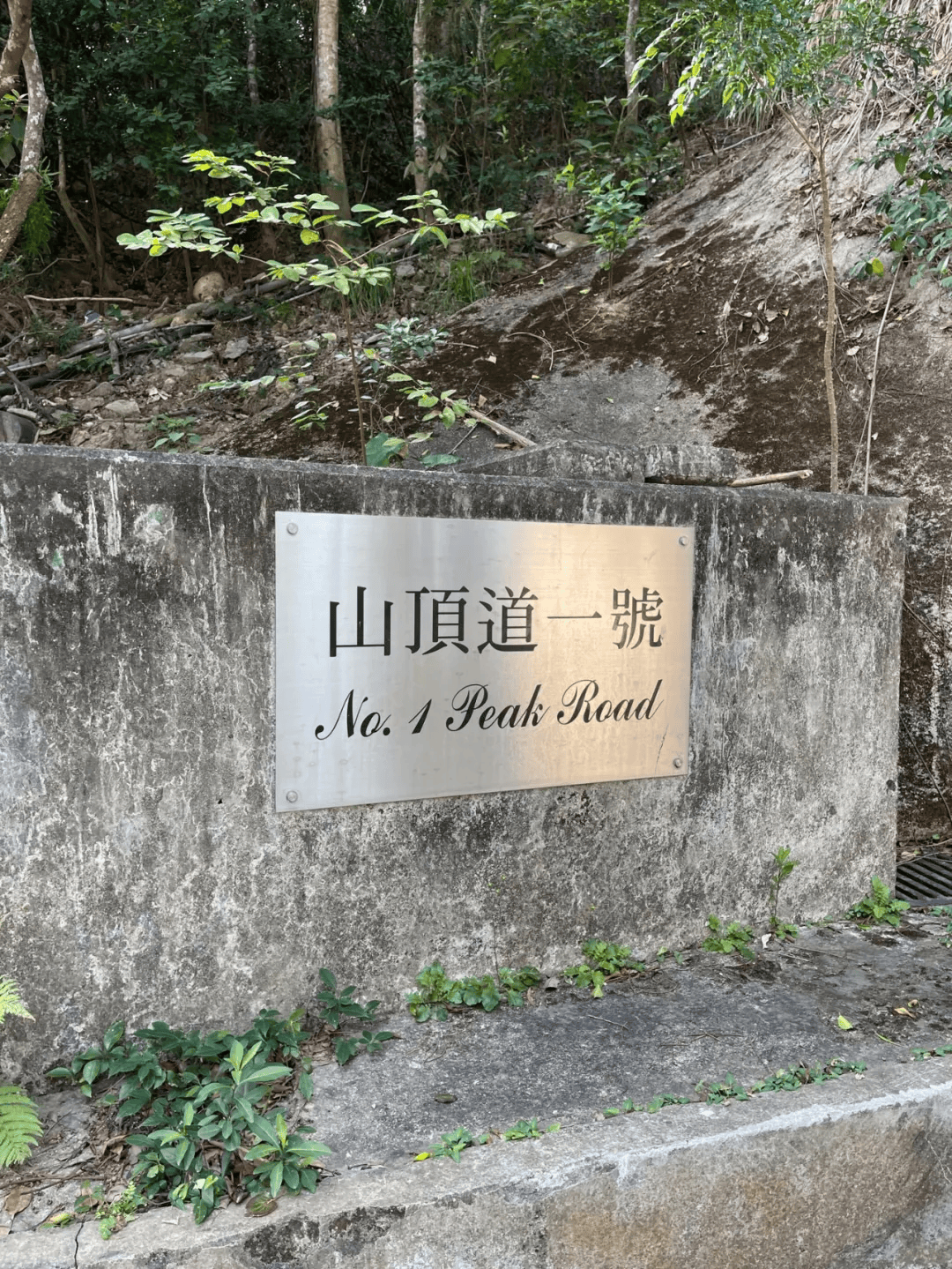 香港顶级豪宅“山顶道1号”发生命案,31岁菲佣在房内自尽;金庸夫妇曾居住11年,市价超5.6亿港元或成香港最贵凶宅