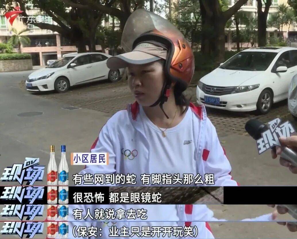 广州一小区2年抓到超60条蛇？业主：家里来过两三条，有条还钻进鞋子里