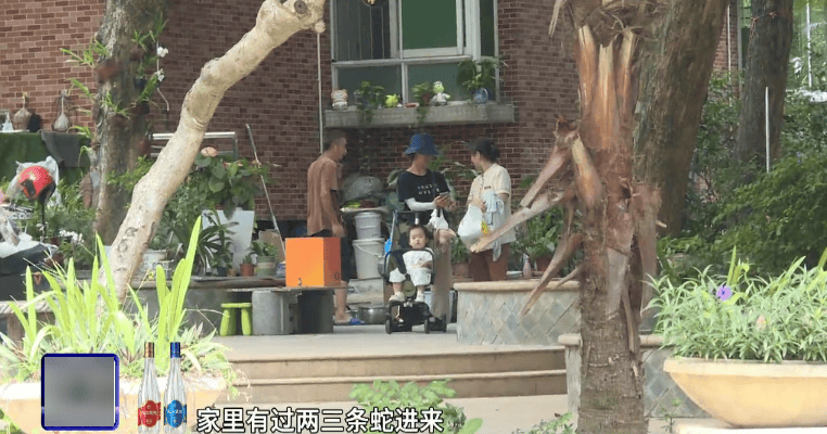 广州一小区2年抓到超60条蛇？业主：家里来过两三条，有条还钻进鞋子里