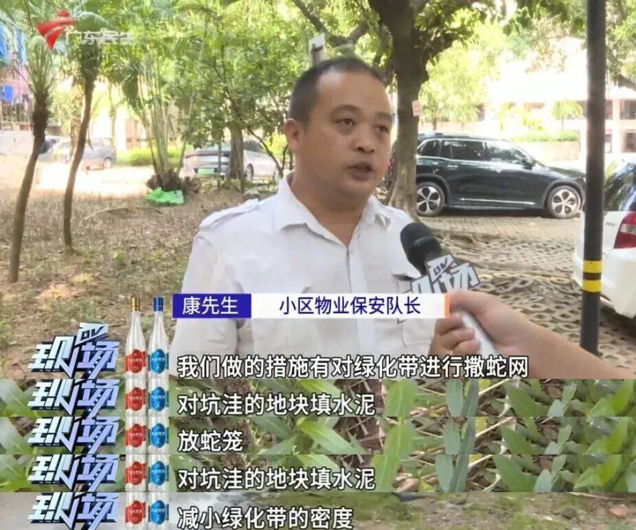 广州一小区2年抓到超60条蛇？业主：家里来过两三条，有条还钻进鞋子里