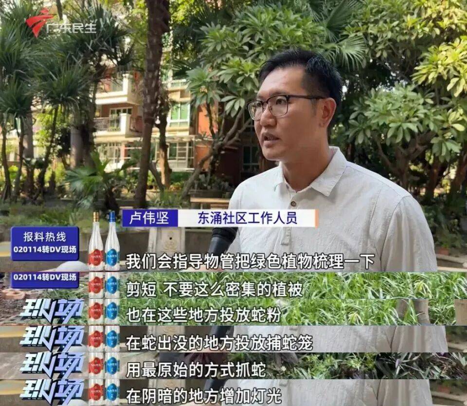 广州一小区2年抓到超60条蛇？业主：家里来过两三条，有条还钻进鞋子里