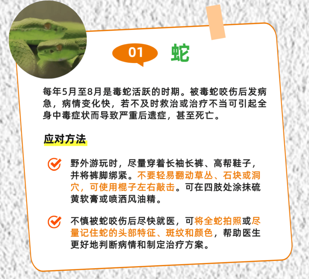 广州一小区2年抓到超60条蛇？业主：家里来过两三条，有条还钻进鞋子里
