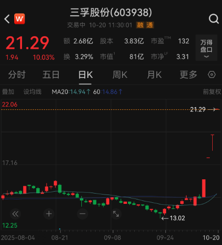 知名国际投行释放利好,“易中天”大涨!海外机构近期关注这些股,多股业绩预增