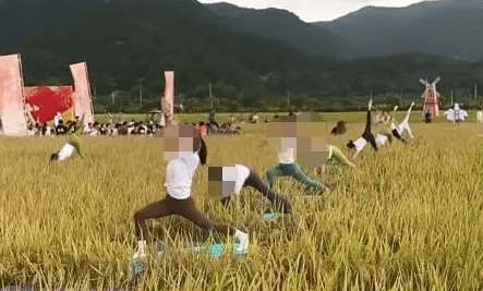 媒体:稻田开镰仪式,表演哪门子瑜伽?