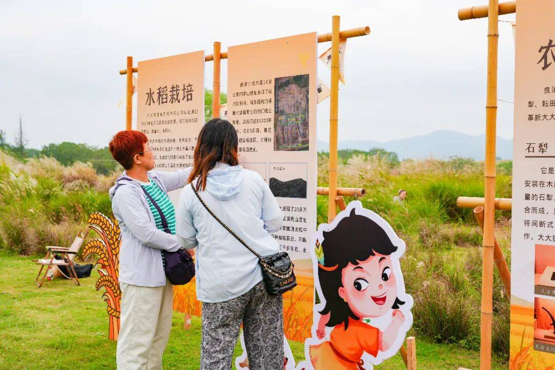 良渚遇“稻”你 ｜ 秋季活动正当时