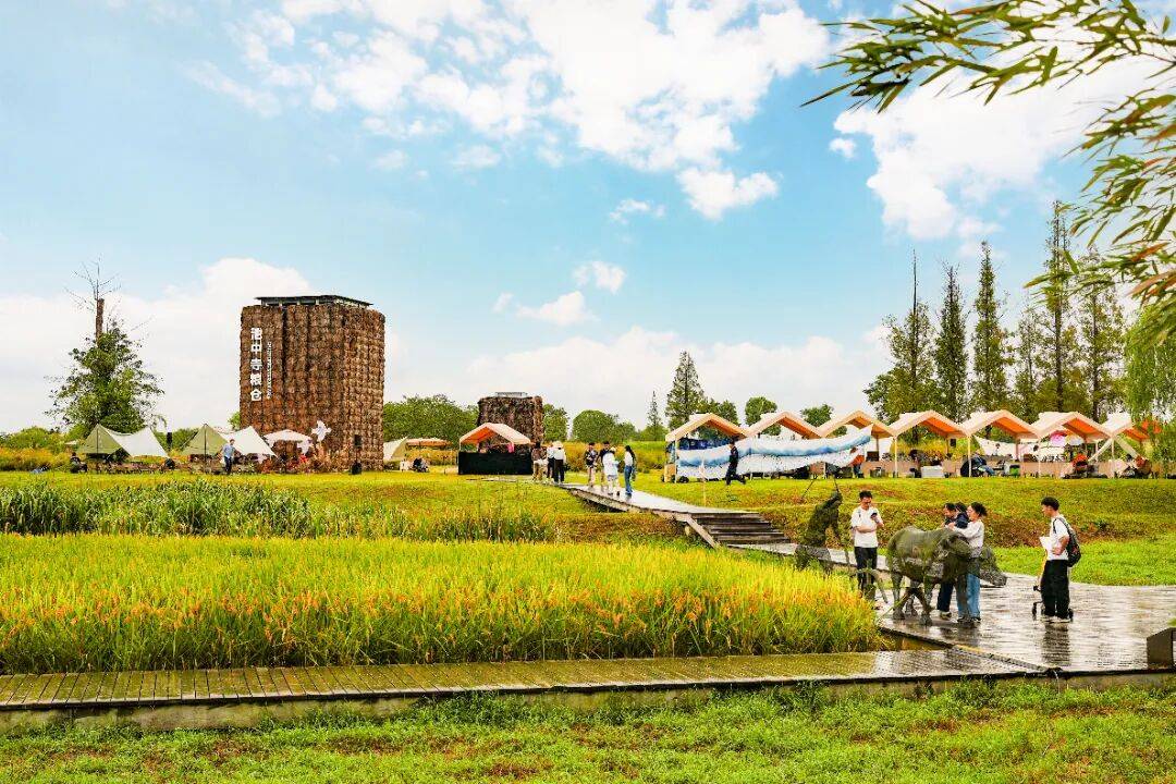 良渚遇“稻”你 ｜ 秋季活动正当时