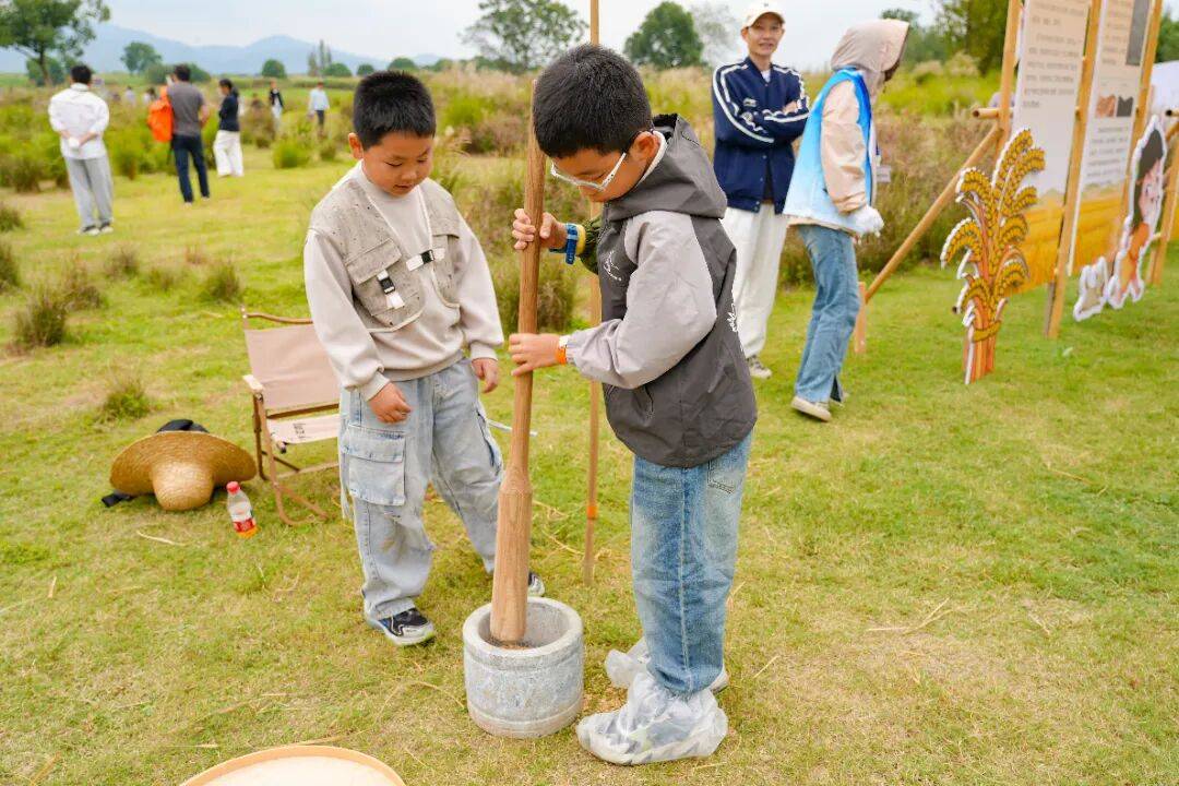 良渚遇“稻”你 ｜ 秋季活动正当时