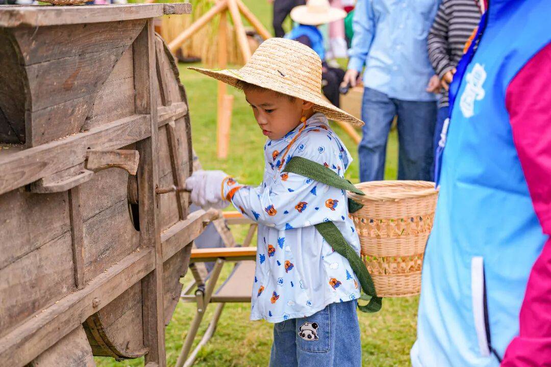 良渚遇“稻”你 ｜ 秋季活动正当时
