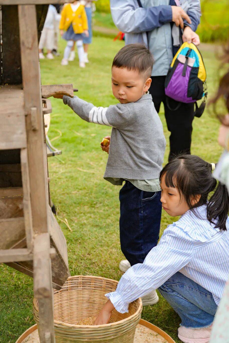 良渚遇“稻”你 ｜ 秋季活动正当时