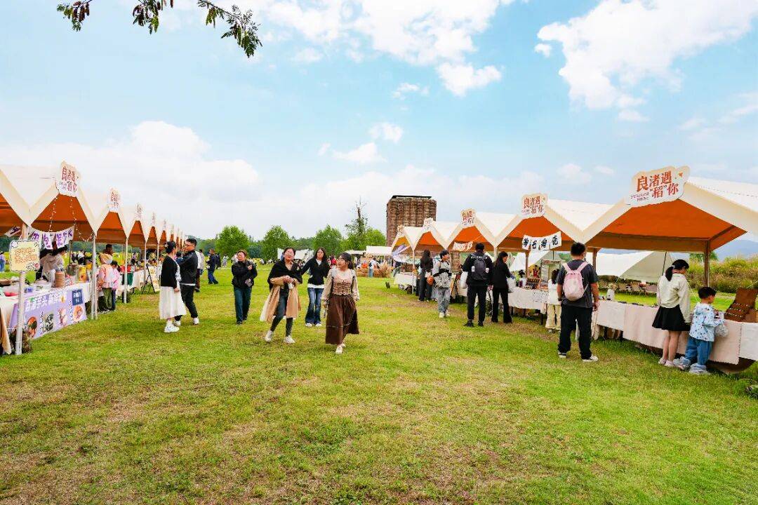 良渚遇“稻”你 ｜ 秋季活动正当时
