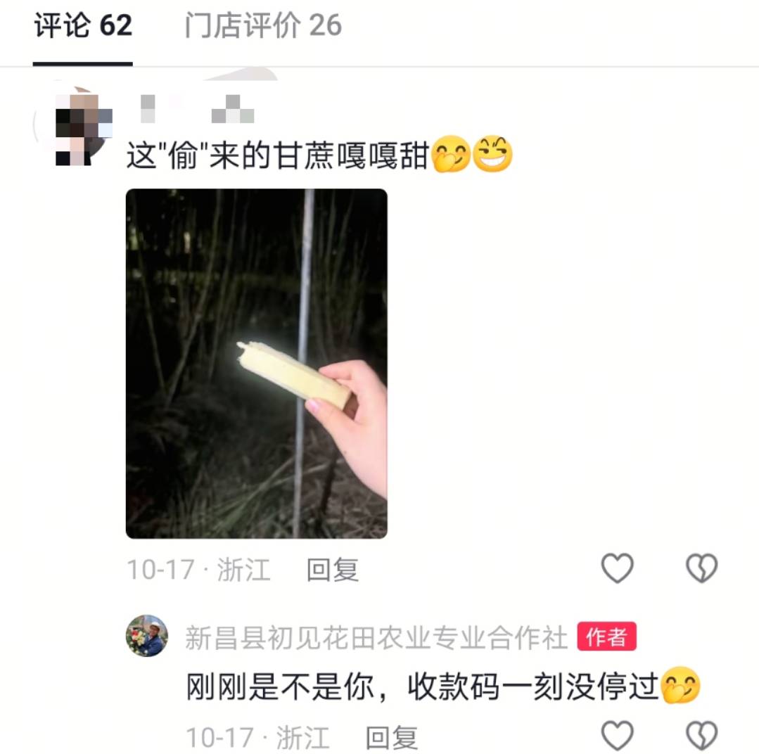 浙江一“可偷甘蔗地”成打卡点，上百网友深夜体验，80后“地主”：已收偷款6千元