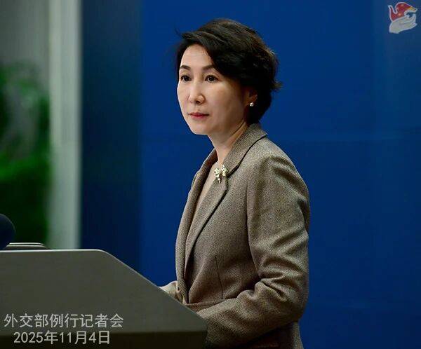 外交部:中方不得不投下弃权票