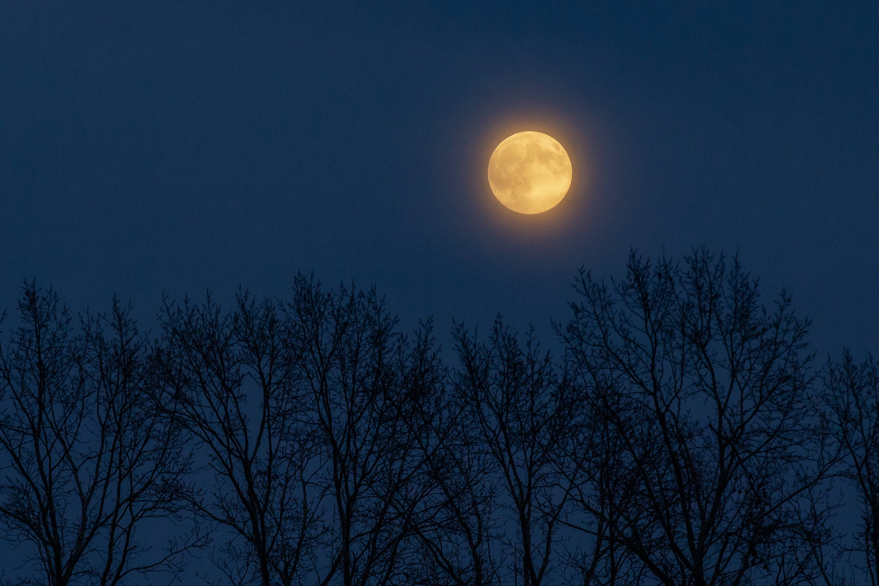 今年“个头”最大的“超级月亮”来啦#