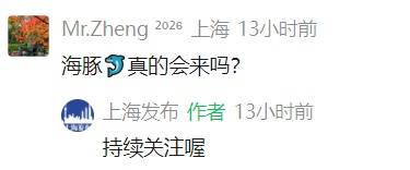 确认了！台风外围即将影响上海！网友急了：千万别给“沪牌”，又不懂事了…